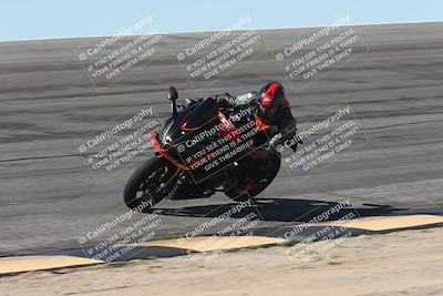 media/Oct-13-2025-Moto Forza (Mon) [[a66d839500]]/3-B Group/Session 2 (Bowl)/